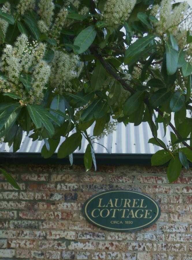 Laurel Cottage Richmond Dış mekan fotoğraf