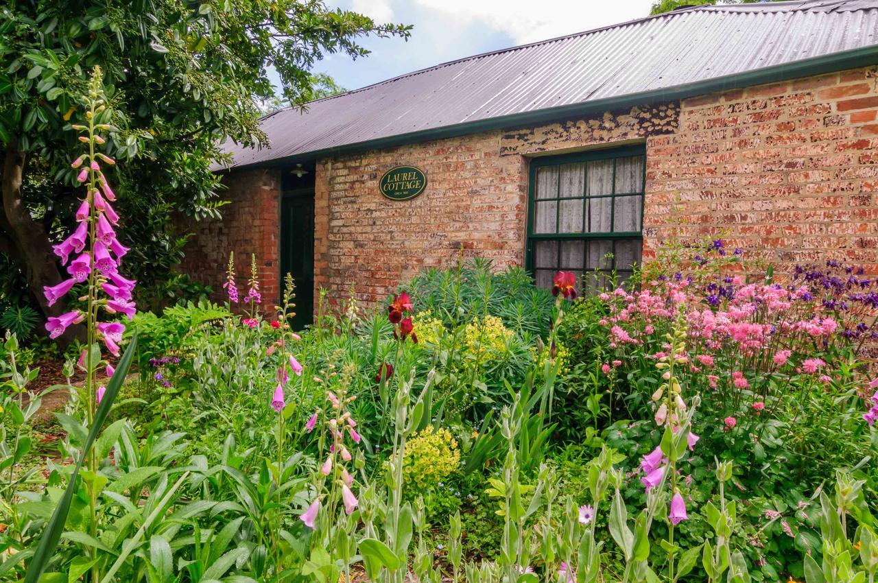 Laurel Cottage Richmond Dış mekan fotoğraf