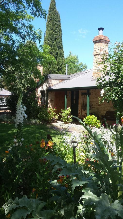 Laurel Cottage Richmond Dış mekan fotoğraf