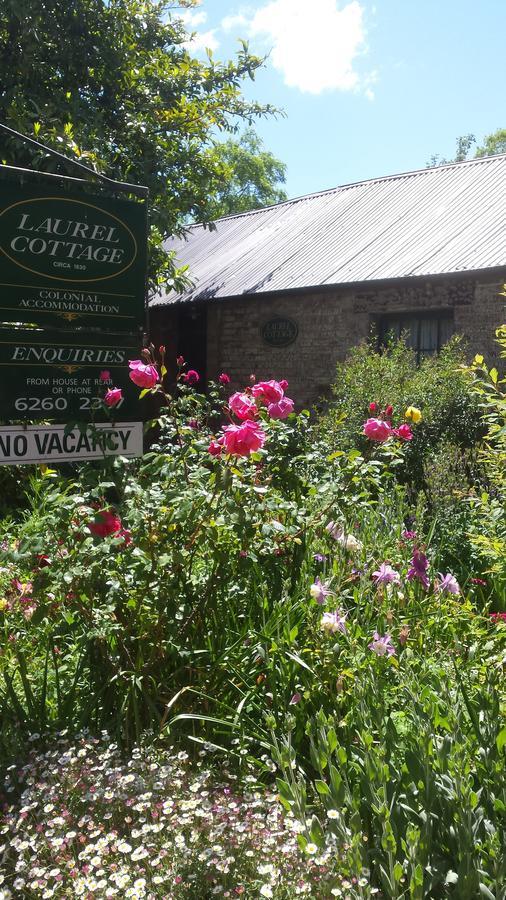 Laurel Cottage Richmond Dış mekan fotoğraf